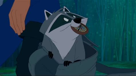 He is sly, mischievous, playful, very greedy, and loves to steal. . Raccoon in pocahontas